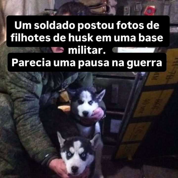 Em 2015, Moscou negava qualquer presença militar na Ucrânia, mas uma sequência de fotos... — slide 3