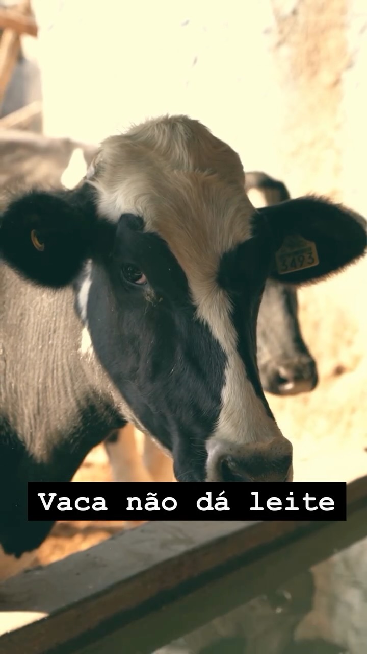 Todo mundo cresce ouvindo que "a vida dá retorno", que "o tempo entrega", que "as coisas acontecem".