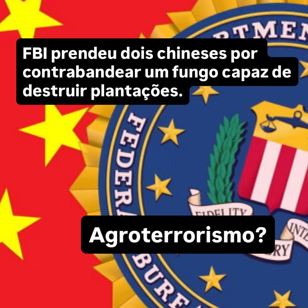 Ataques modernos não precisam chegar com explosões ou avisos. Muitas vezes, chegam em silêncio.
